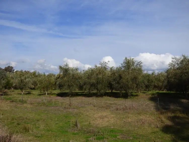 Seventh view of Homely rural property listing, Lot 2 Whorouly Road, Whorouly VIC 3735