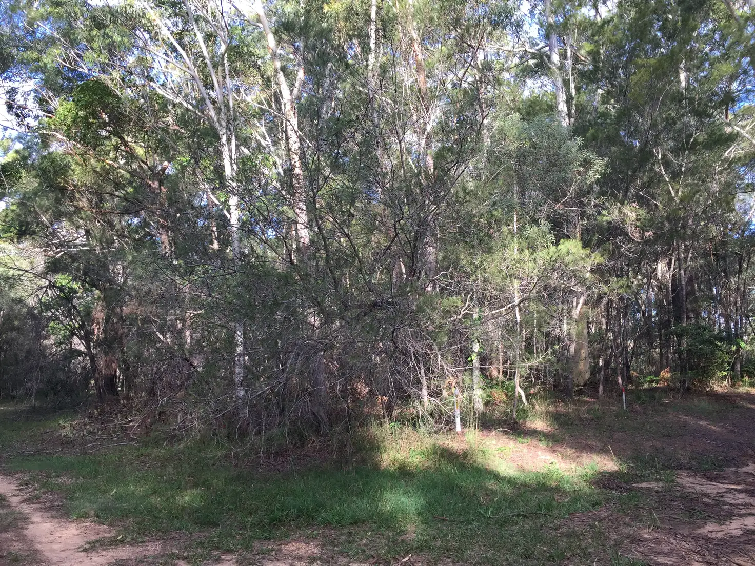 Main view of Homely land listing, 12/Avera Road, Russell Island QLD 4184