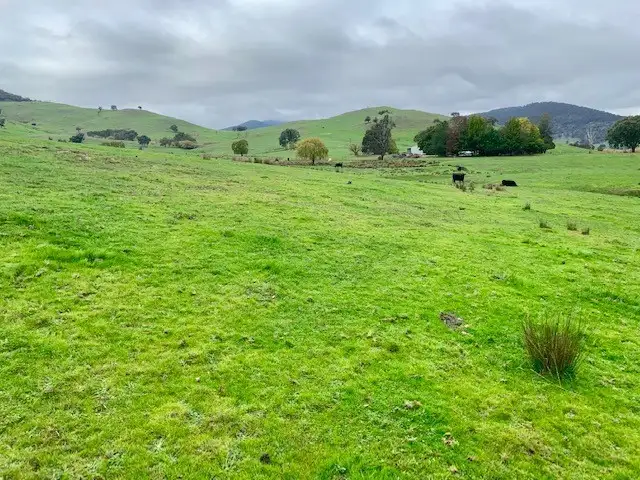 Second view of Homely rural property listing, 309 Tallangatta Creek Rd, Tallangatta Valley VIC 3701