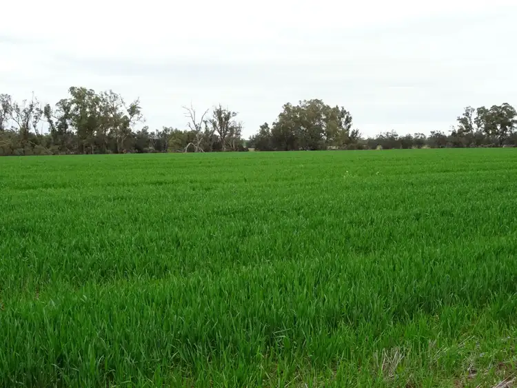 Fifth view of Homely land listing, L1 Rossmore Road, Goomalling WA 6460