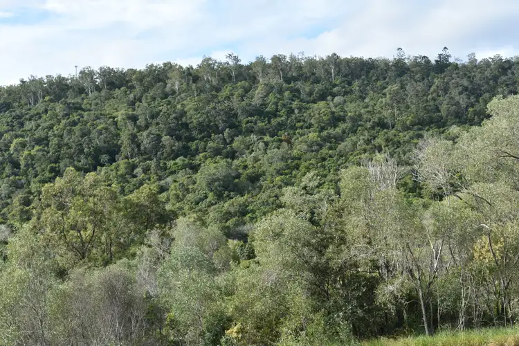 Third view of Homely rural property listing, Lot 4 Bruce Hwy, Bauple QLD 4650