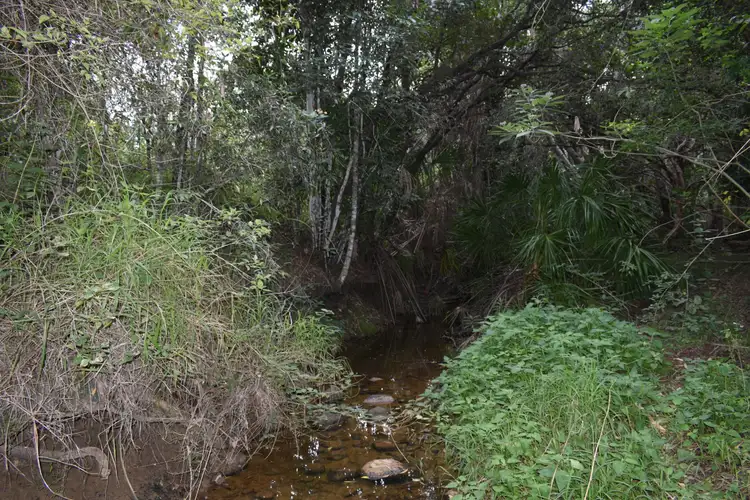 Seventh view of Homely rural property listing, Lot 4 Bruce Hwy, Bauple QLD 4650