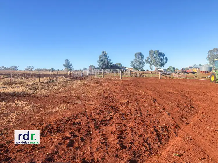 Third view of Homely rural property listing, 158 Lamonts Lane, Inverell NSW 2360