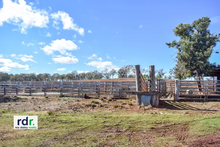 Seventh view of Homely rural property listing, 158 Lamonts Lane, Inverell NSW 2360