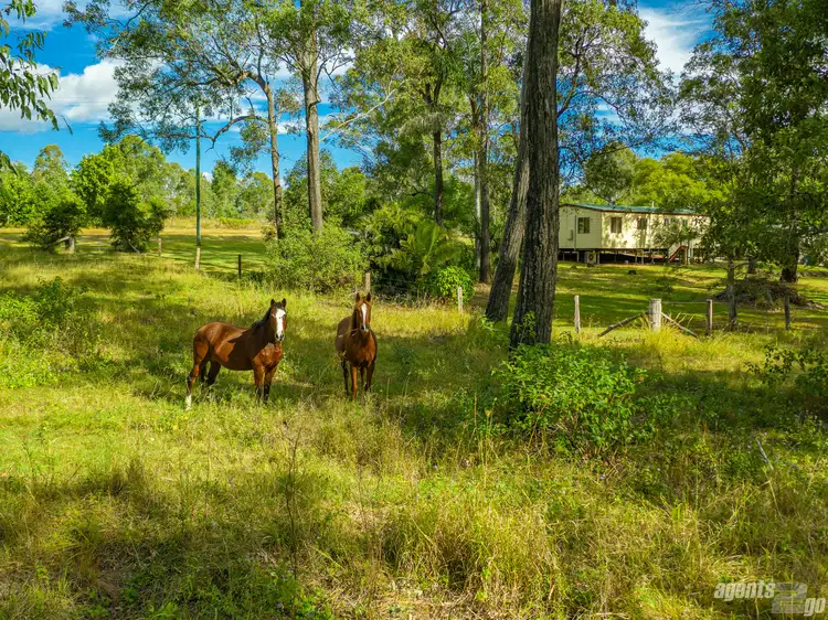 Fifth view of Homely house listing, 14 Gerber Rd, Widgee QLD 4570