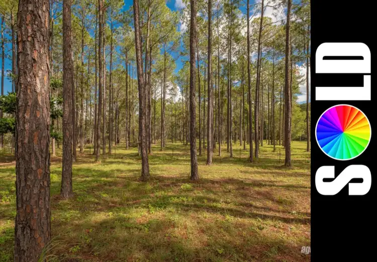 LOT 515 Arborcrescent Rd, Glenwood QLD 4570