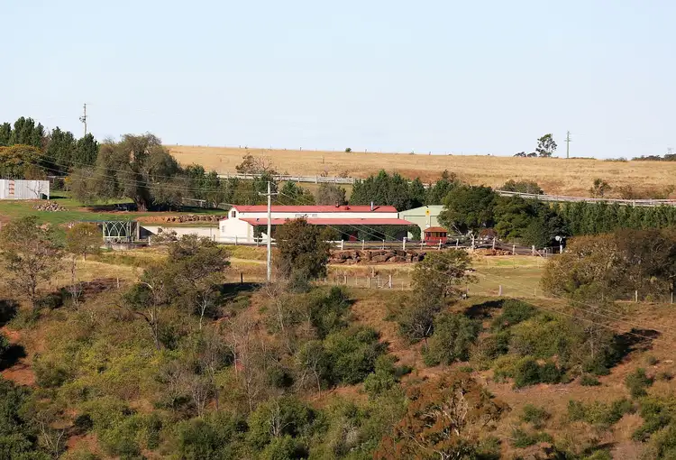 Third view of Homely rural property listing, 163 Mount Hercules Rd, Razorback NSW 2571