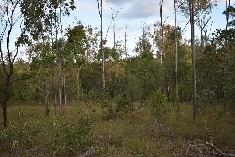 Third view of Homely rural property listing, Jessens Rd, Gundiah QLD 4650