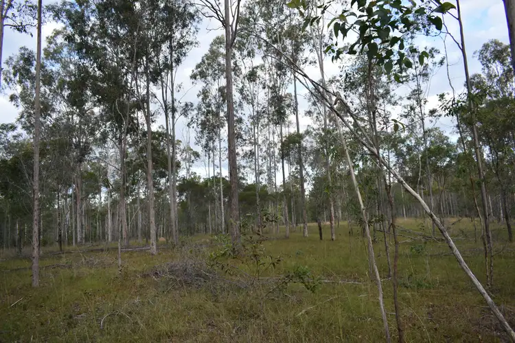 Seventh view of Homely rural property listing, Jessens Rd, Gundiah QLD 4650