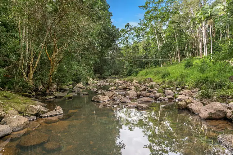 Fourth view of Homely house listing, 21 Snows Creek Rd, Upper Coopers Creek NSW 2482