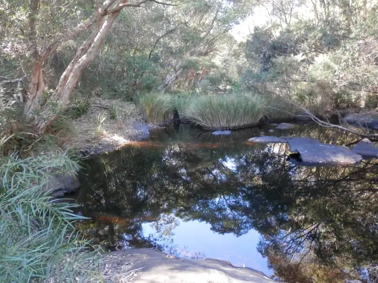 Main view of Homely rural property listing, Lot 28 Sugarbag Rd West, Drake NSW 2469