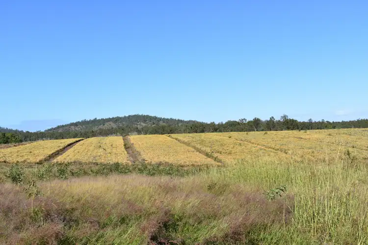 Fifth view of Homely rural property listing, LOT 2 Maryborough Biggenden Rd, Aramara QLD 4620