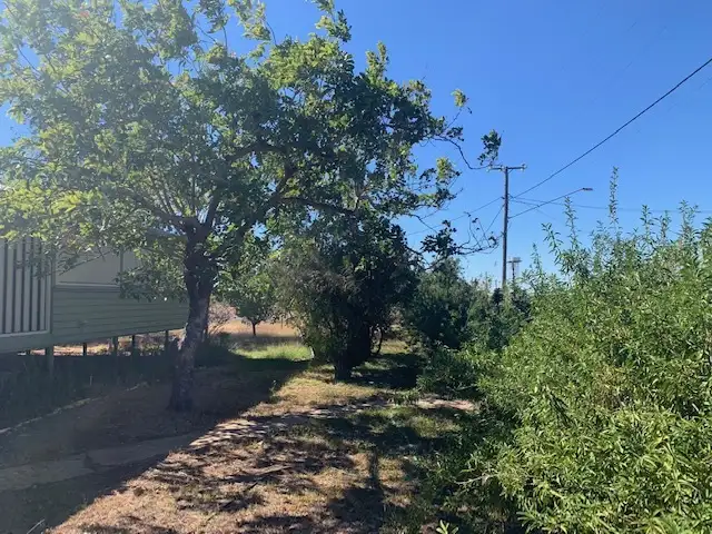Seventh view of Homely house listing, 28 Barkly Street, Camooweal QLD 4828