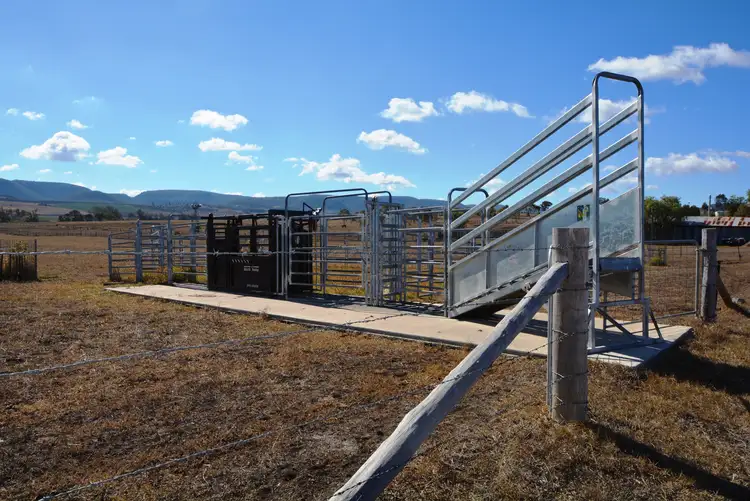 Fifth view of Homely land listing, 209 Freestone Creek Rd, Freestone QLD 4370