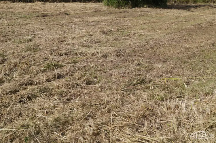 Second view of Homely land listing, 11 Mungar Rd, Tiaro QLD 4650