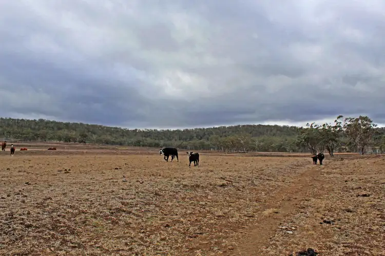 Seventh view of Homely rural property listing, Lot 7 Holzwarts Rd, Berat QLD 4362