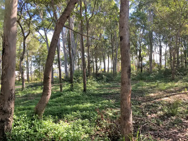 Seventh view of Homely land listing, 11-13 Ranora Avenue, Russell Island QLD 4184