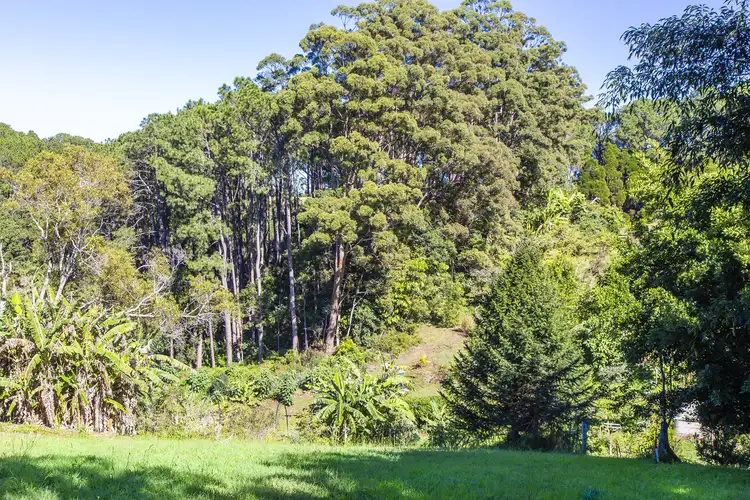 Sixth view of Homely land listing, 6 Hoffman Cl, Montville QLD 4560