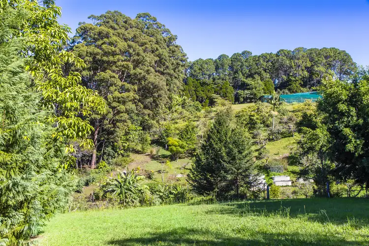 Seventh view of Homely land listing, 6 Hoffman Cl, Montville QLD 4560