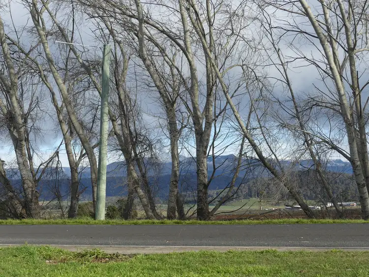 Second view of Homely house listing, 171 Emu Bay Rd, Deloraine TAS 7304