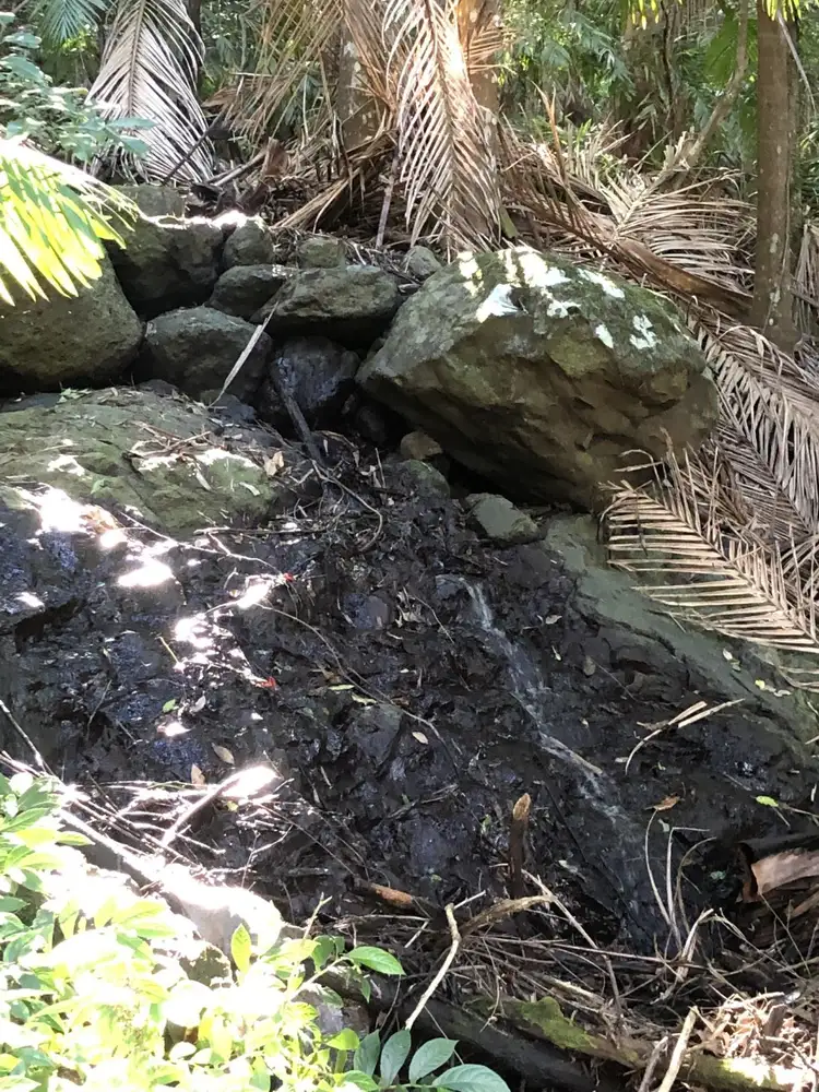 Fourth view of Homely rural property listing, LOT 2 Forest Road, Kyogle NSW 2474