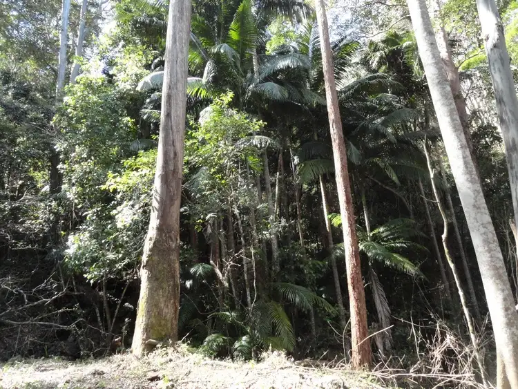 Fifth view of Homely rural property listing, LOT 2 Forest Road, Kyogle NSW 2474