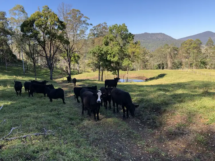 Sixth view of Homely rural property listing, LOT 2 Forest Road, Kyogle NSW 2474