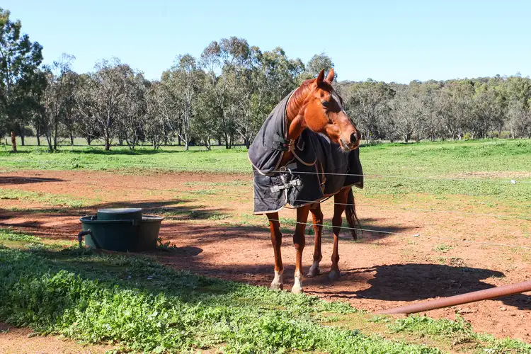 44 Coondle West Road, Toodyay WA 6566