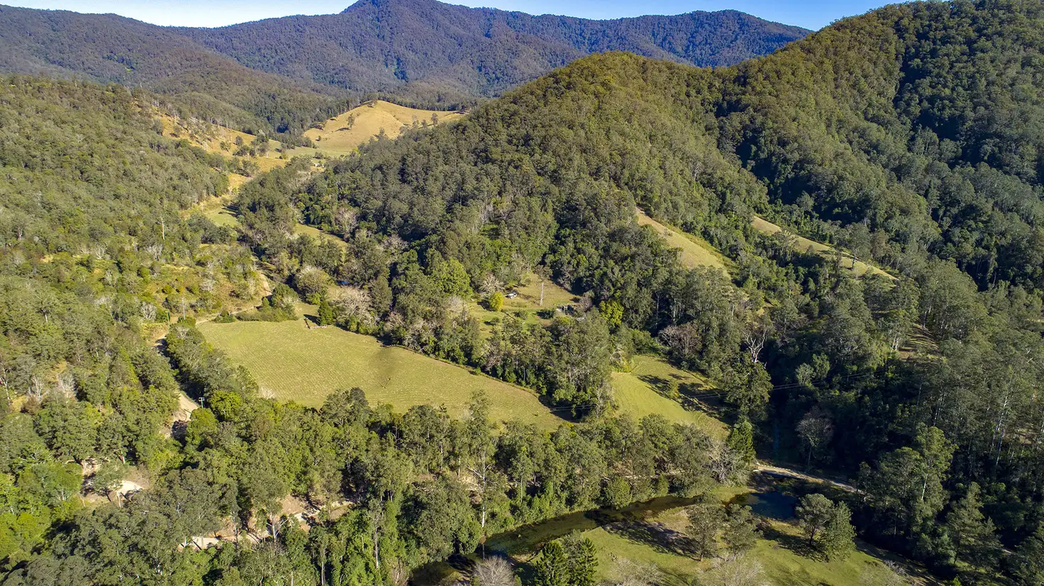 Main view of Homely house listing, 4667 Taylors Arm Rd, Thumb Creek NSW 2447