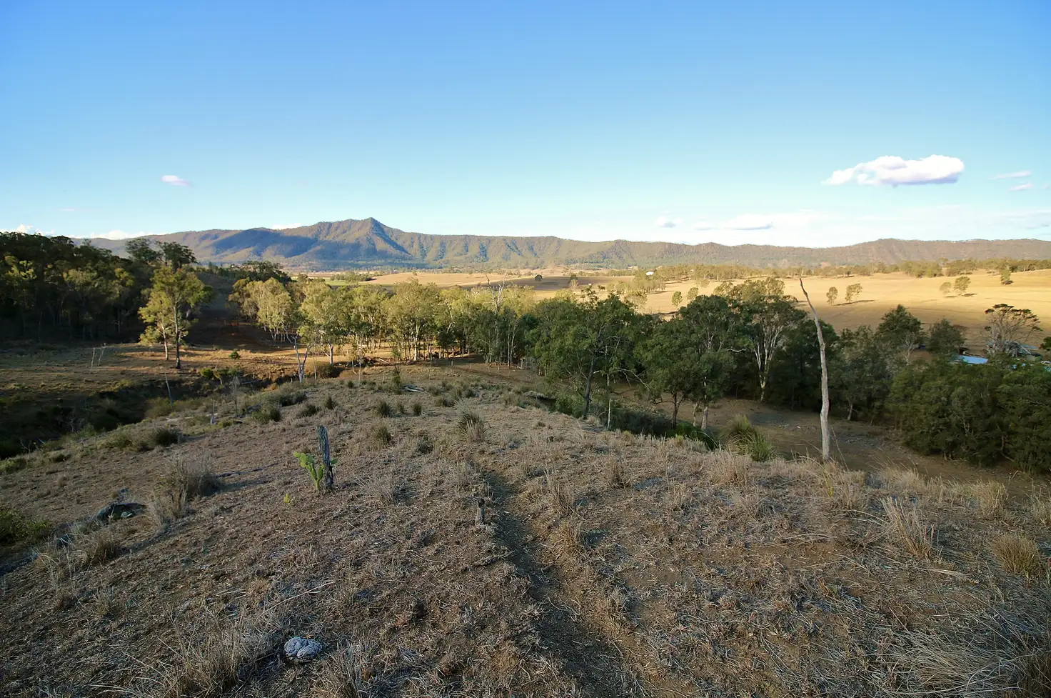 Main view of Homely land listing, LOT 1 Bonnell Rd, Thornton QLD 4341