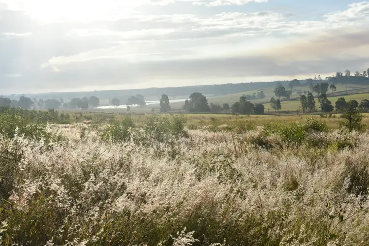 Fourth view of Homely rural property listing, Lot 150 Irrawarra Rd, Mungar QLD 4650