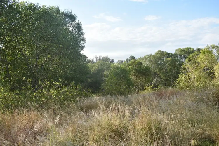 Fifth view of Homely rural property listing, Lot 150 Irrawarra Rd, Mungar QLD 4650