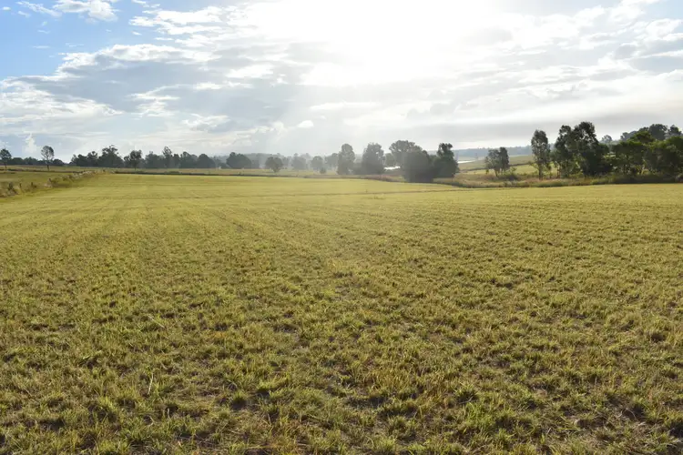 Sixth view of Homely rural property listing, Lot 157 Irrawarra Rd, Mungar QLD 4650