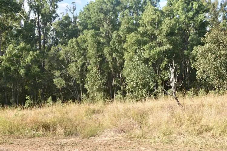 Seventh view of Homely rural property listing, Lot 157 Irrawarra Rd, Mungar QLD 4650