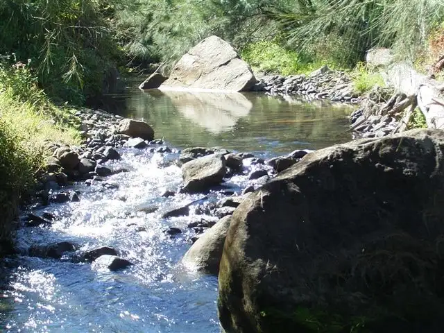Second view of Homely rural property listing, 399 Smiths Creek Road, Kyogle NSW 2474
