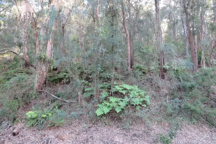 Second view of Homely land listing, 4506 Wisemans Ferry Rd, Spencer NSW 2775