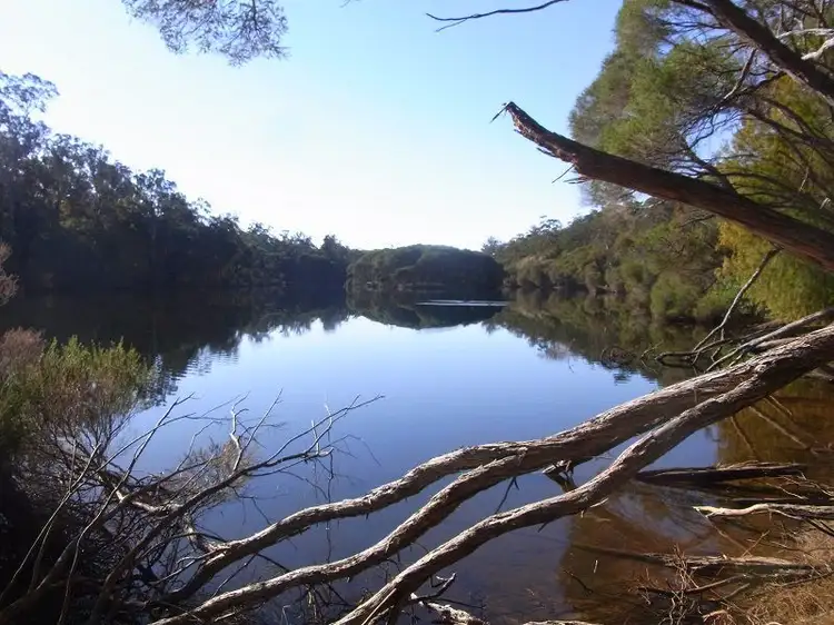 Main view of Homely rural property listing, PL1 Ivor Jones Drive, Wonboyn NSW 2551