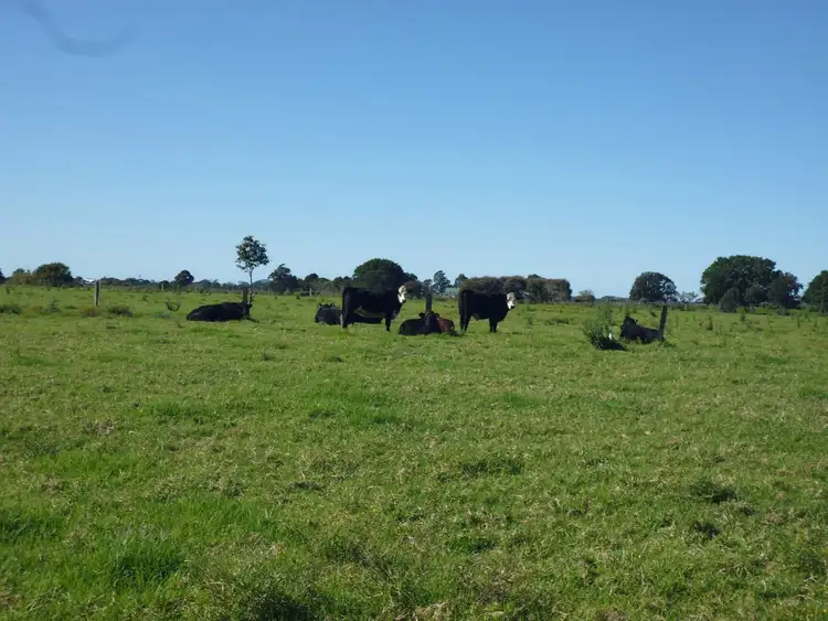 Seventh view of Homely rural property listing, 781 Pacific Highway, Frederickton NSW 2440