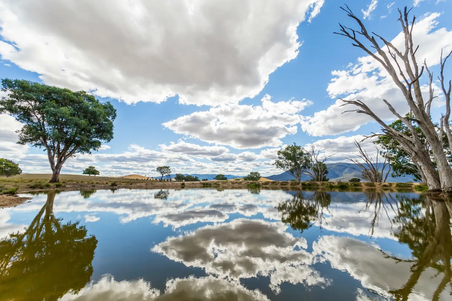 Main view of Homely rural property listing, LCA 2 & Lot 2 PS 3304 Sugarloaf Road, Corryong VIC 3707