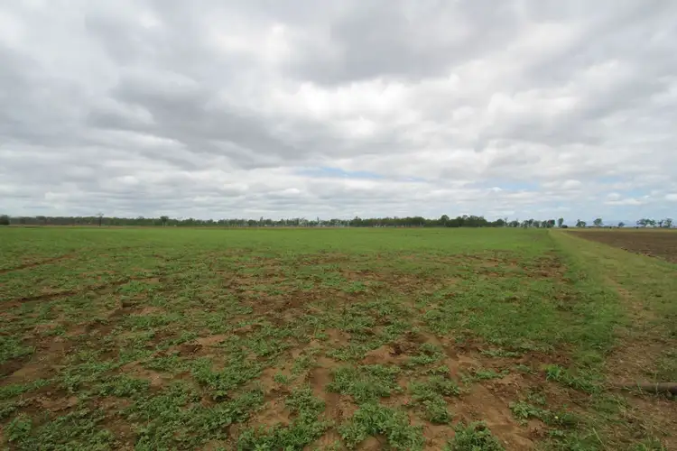 Sixth view of Homely rural property listing, Address available on request