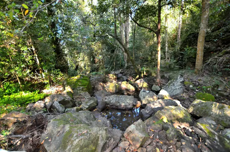 Fifth view of Homely land listing, 145 Kirbys Road, Montville QLD 4560