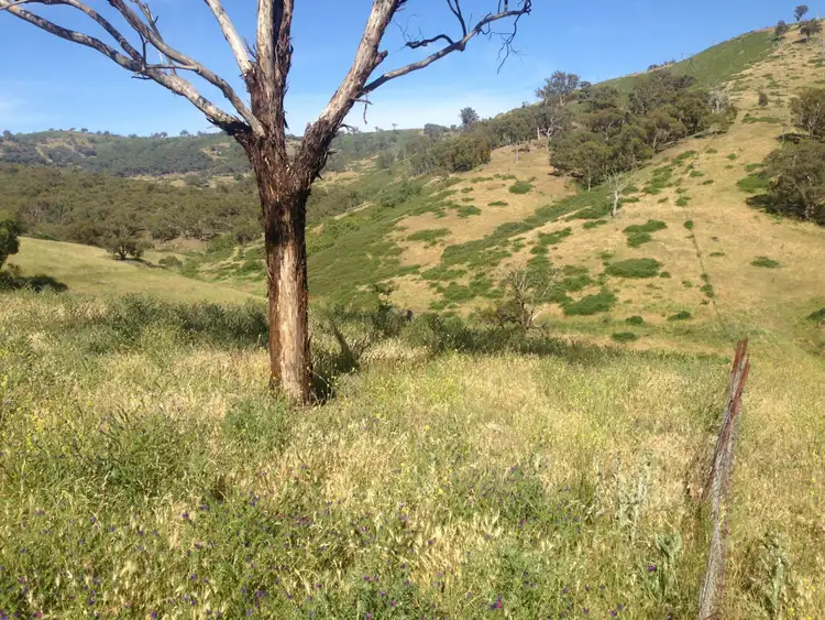 Sixth view of Homely rural property listing, 117/Lot 117/755790 Red Hill Road, Running Stream NSW 2850