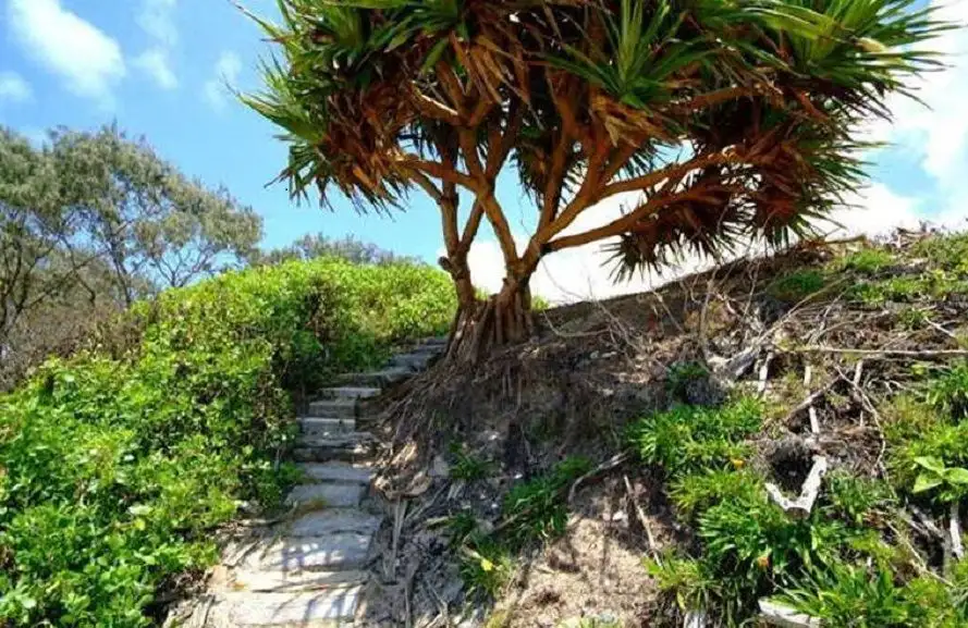 Main view of Homely land listing, 142 Main Street, Wooli NSW 2462