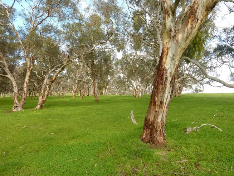 Second view of Homely rural property listing, Section 1090 Tonto Road, Normanville SA 5204