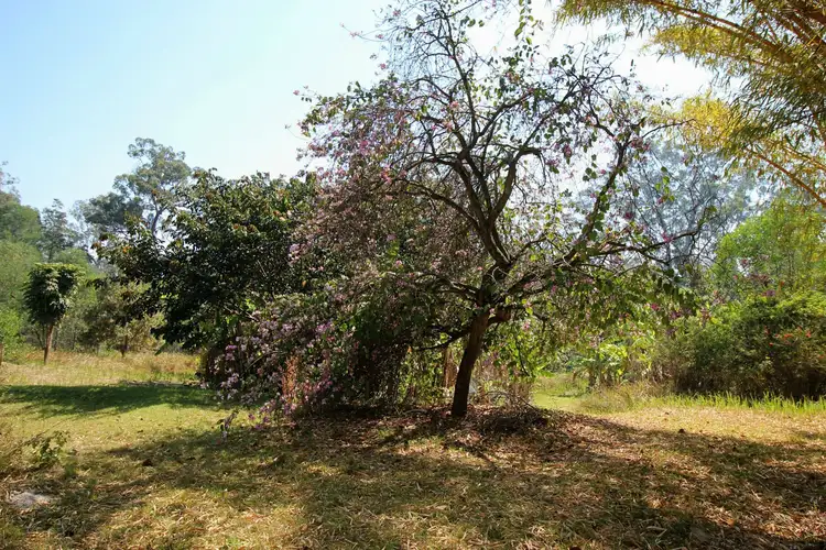 Fourth view of Homely rural property listing, Address available on request