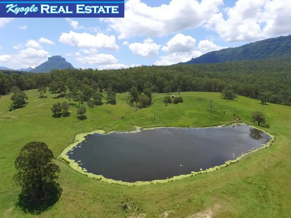 Main view of Homely rural property listing, 4294 Summerland Way, Kyogle NSW 2474