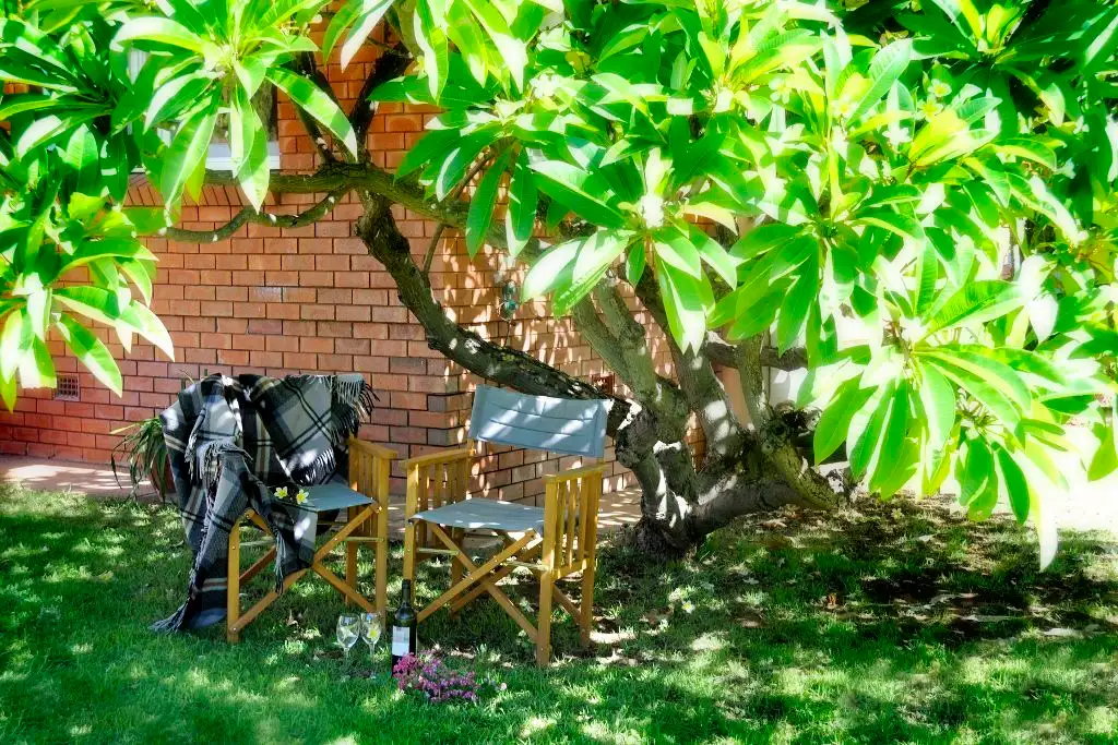 Main view of Homely house listing, 22 Abbott Street, Gunnedah NSW 2380