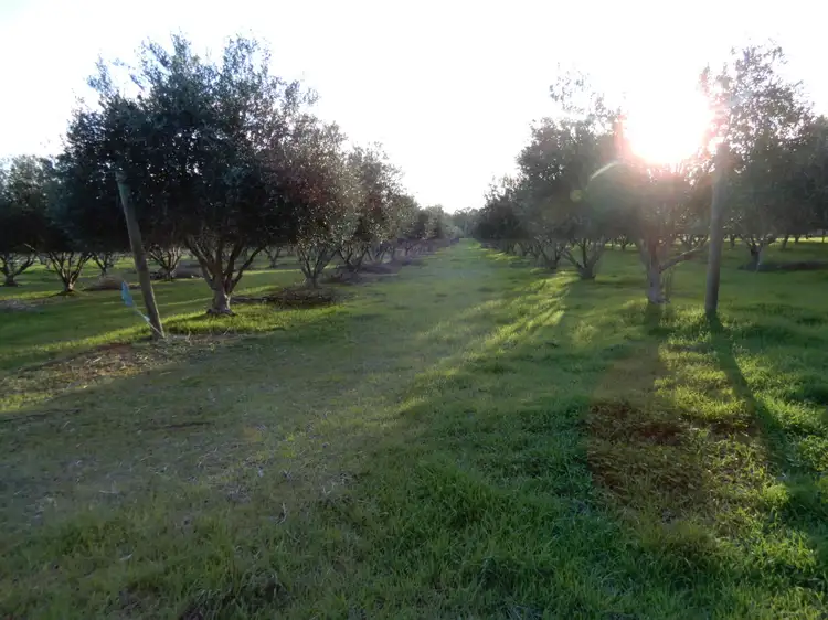 Allotment 100 Stock Route Road, Laura SA 5480