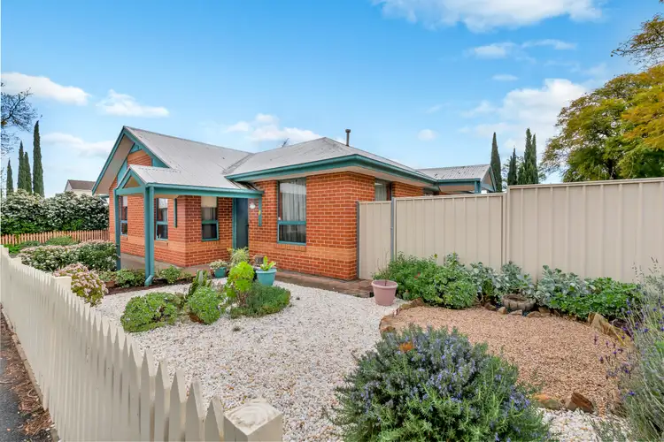 Main view of Homely house listing, 11 Almond Ave, Glenside SA 5065