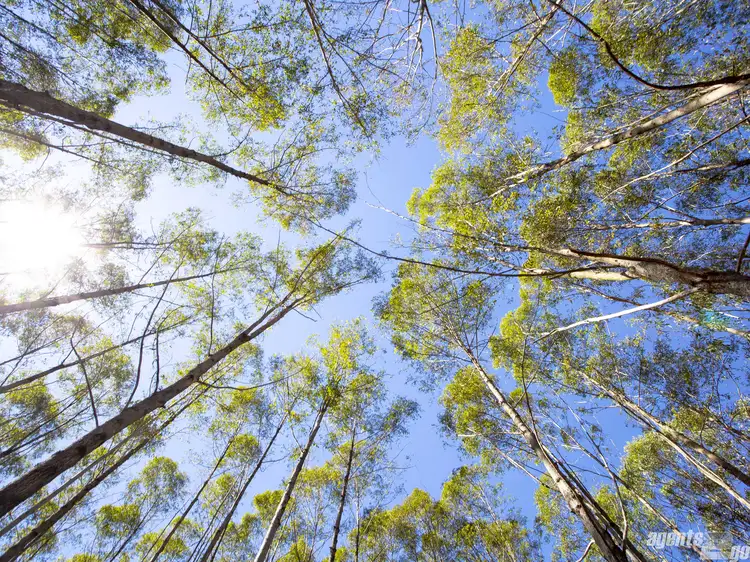 Fifth view of Homely land listing, 307 Eel Creek Rd, Pie Creek QLD 4570